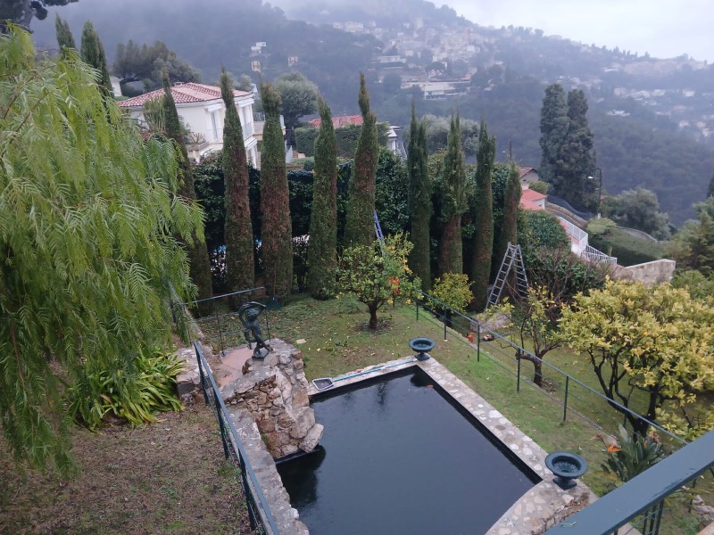Elagage et taille d'arbres de grande hauteur à Roquebrune Cap Martin de Cyprès de Florence Eucalyptus et différents agrumes