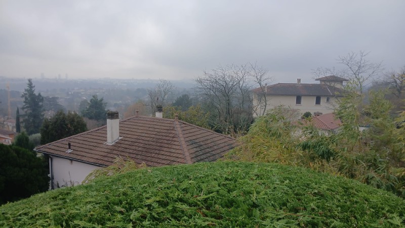 Entretien de jardin avec taille de différentes haies avec accès difficiles à Ecully