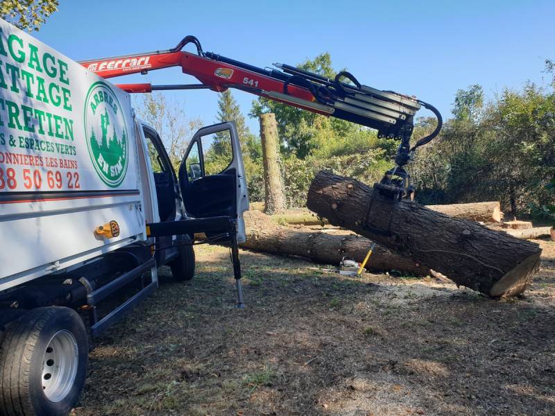 Différents moyens d' évacuations de bois suite à des abattages