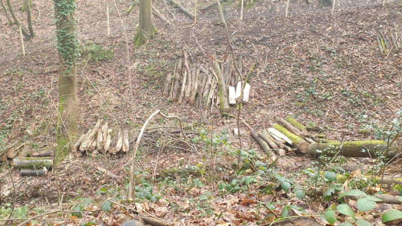 Abattage d'arbre en forêt à Dardilly, mise en sécurité d'un grillage par l'entreprise Arbres en Sim