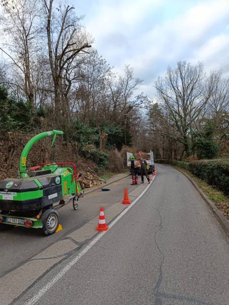 Taille d'un arbre à Ecully,  réduction en bord de route