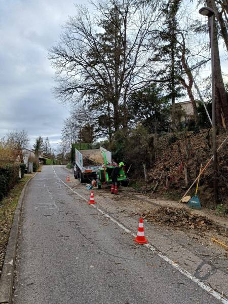 Taille d'un arbre à Ecully,  réduction en bord de route