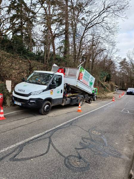 Taille d'un arbre à Ecully,  réduction en bord de route