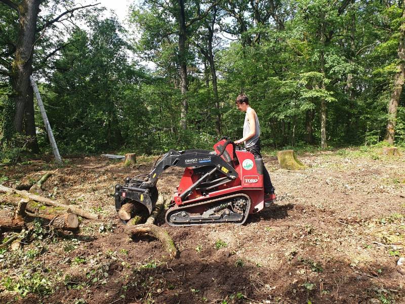 Différents moyens d' évacuations de bois suite à des abattages