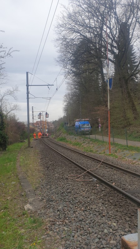 Abattage arbre en urgence à Lyon avec dégagement de la voie SNCF de l'Ouest Lyonnais