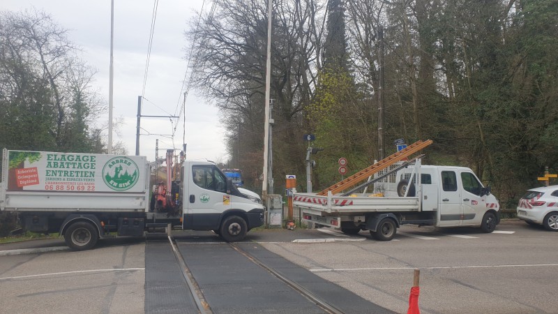 Abattage arbre en urgence à Lyon avec dégagement de la voie SNCF de l'Ouest Lyonnais