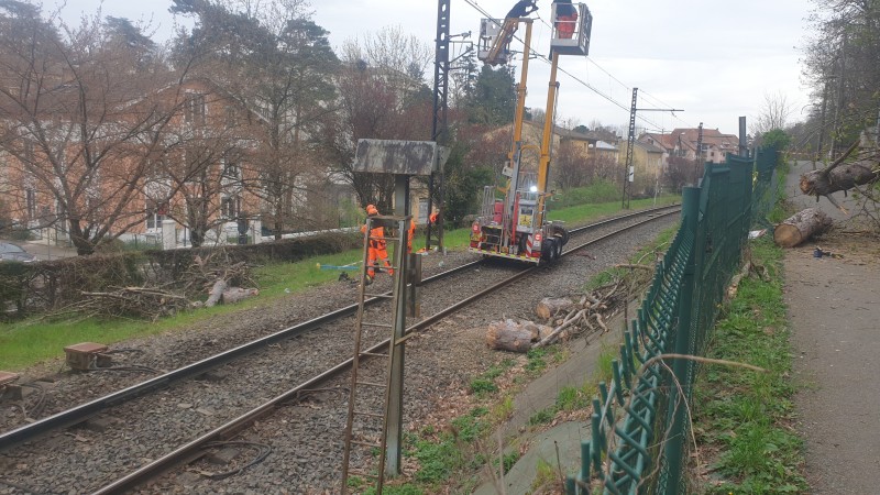 Abattage arbre en urgence à Lyon avec dégagement de la voie SNCF de l'Ouest Lyonnais