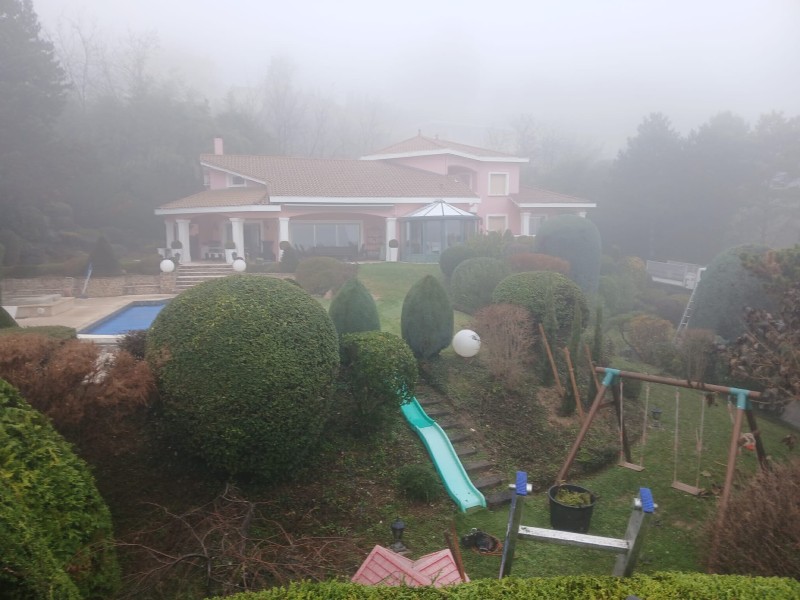 Entretien de jardin avec taille de différentes haies avec accès difficiles à Ecully
